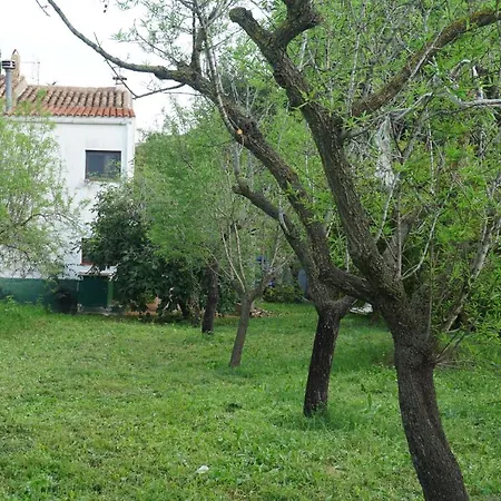 Casa El Regall *
