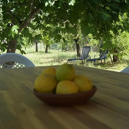 Holiday home Casa El Regall