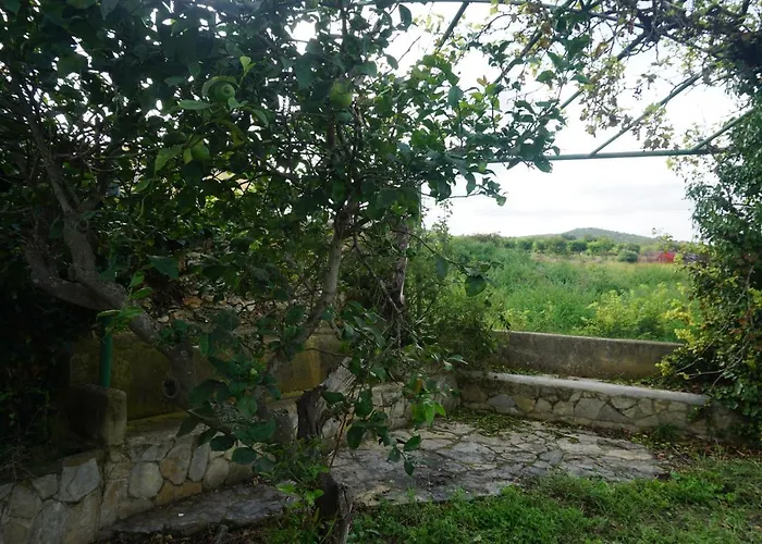 Dom wakacyjny Casa El Regall Cálig